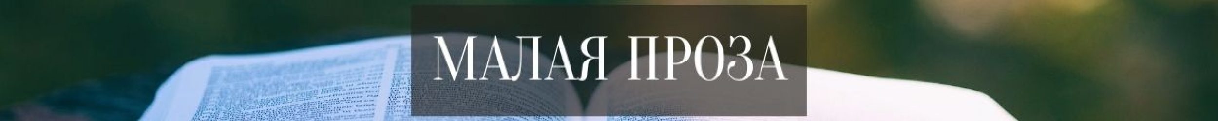 Малая проза Малая проза